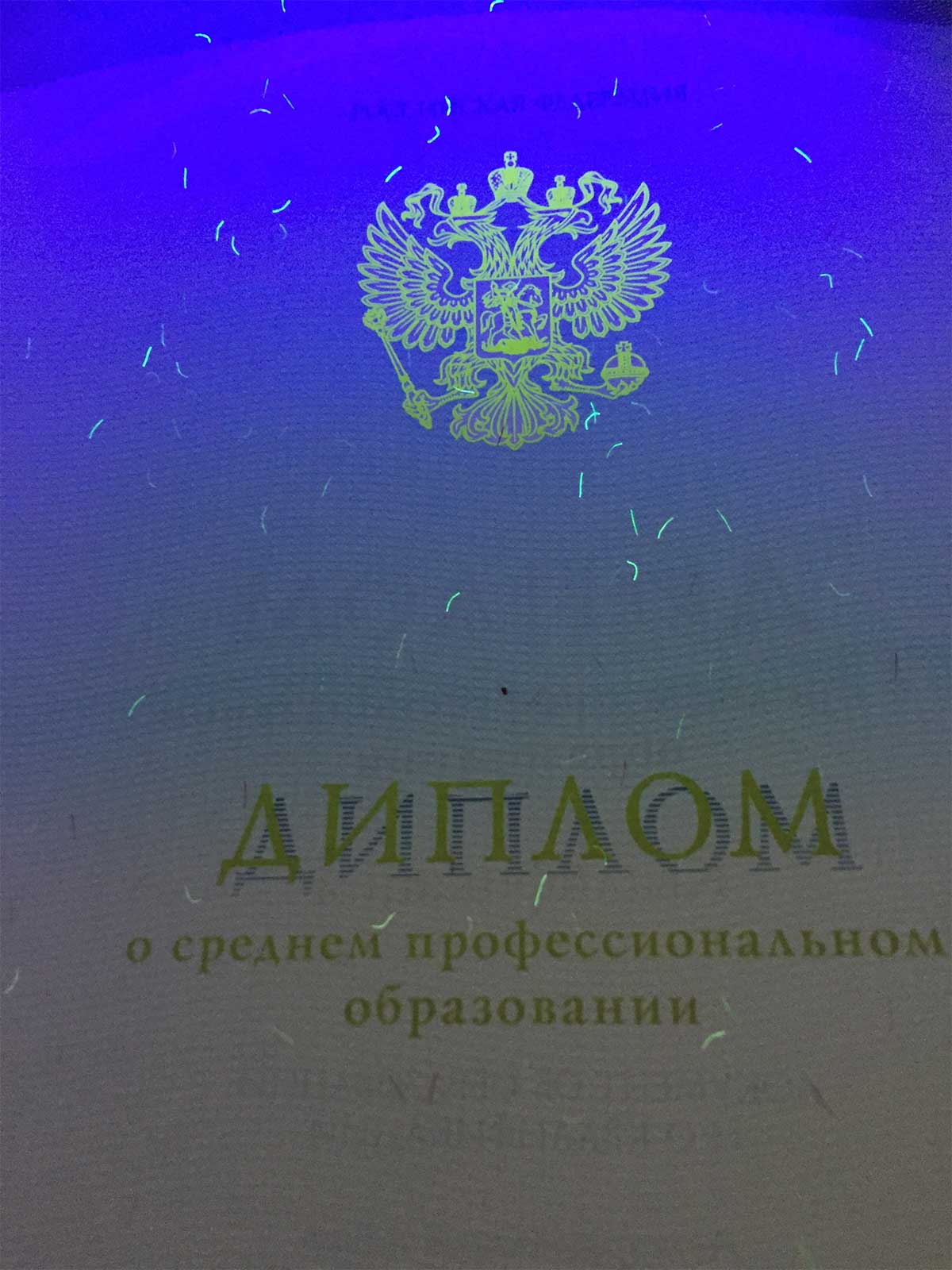 Диплом техникума, колледжа 2014-2025 Фото